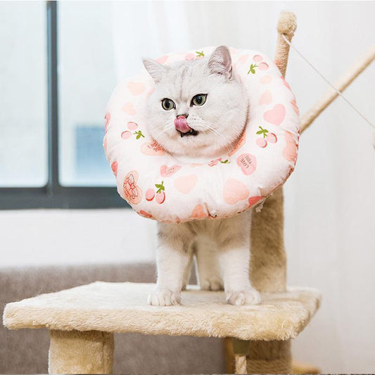 Lighteme Verstellbares Elizabeth Circle Katzen-Antibeißhalsband (4 Farben &amp; 4 Größen)