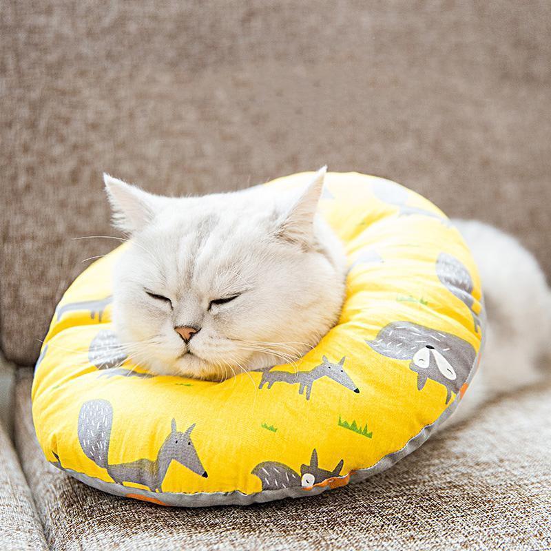 Lighteme Verstellbares Elizabeth Circle Katzen-Antibeißhalsband (4 Farben &amp; 4 Größen)