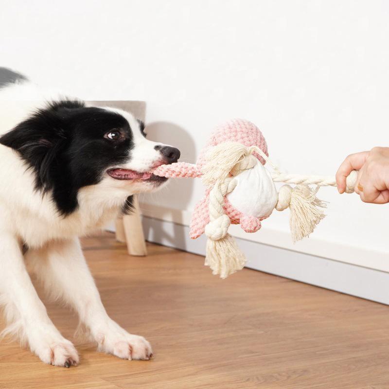 Lighteme Hundespielzeug in Tierform mit Quietschgeräusch (6 Farben)
