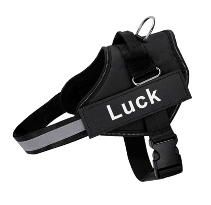 Harnais pour chien personnalisé Lighteme