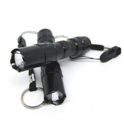 Lighteme Schwarze Mini-LED-Taschenlampe als Schlüsselanhänger, wasserdicht
