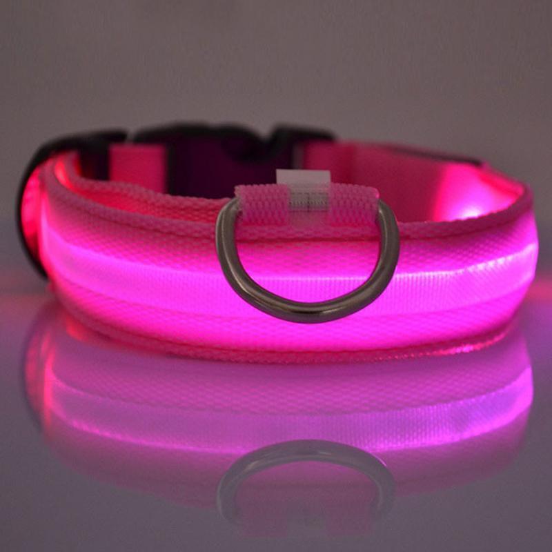 Lighteme Leuchthalsband für Hunde mit Knopfzelle (5 Farben &amp; 5 Größen)