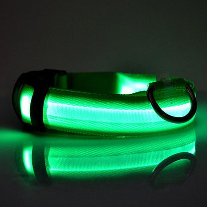 Lighteme Leuchthalsband für Hunde mit Knopfzelle (5 Farben &amp; 5 Größen)