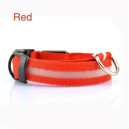 Lighteme Leuchthalsband für Hunde mit Knopfzelle (5 Farben &amp; 5 Größen)