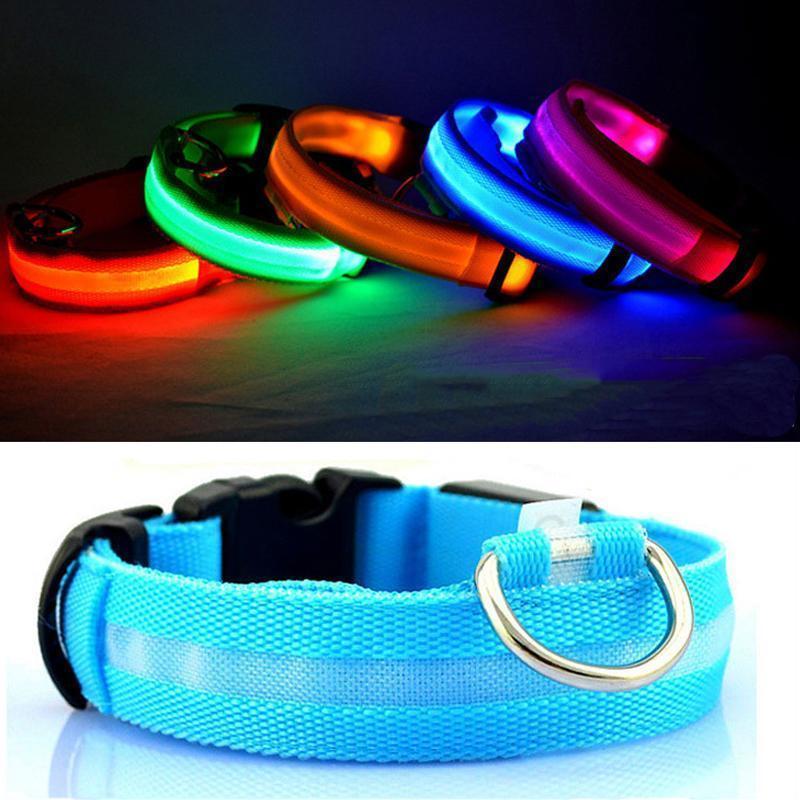 Lighteme Leuchthalsband für Hunde mit Knopfzelle (5 Farben &amp; 5 Größen)