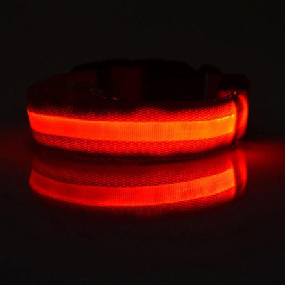 Lighteme Leuchthalsband für Hunde mit Knopfzelle (5 Farben &amp; 5 Größen)