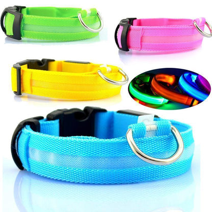 Lighteme Leuchthalsband für Hunde mit Knopfzelle (5 Farben &amp; 5 Größen)