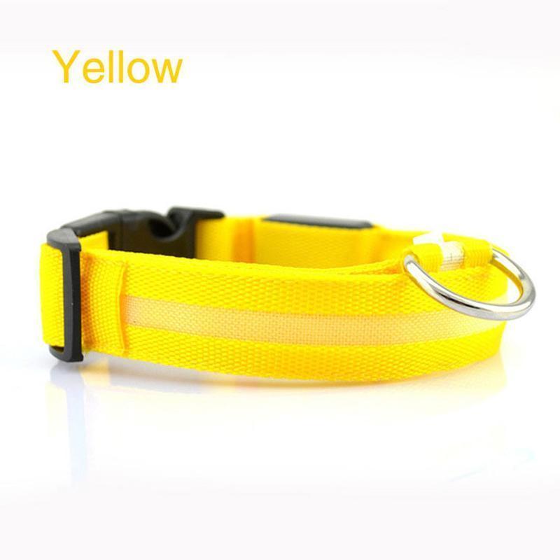Lighteme Leuchthalsband für Hunde mit Knopfzelle (5 Farben &amp; 5 Größen)