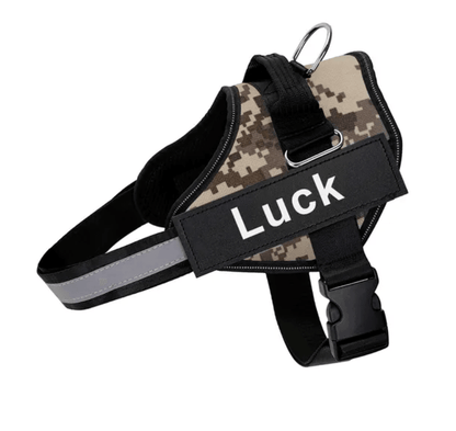 Harnais pour chien personnalisé Lighteme