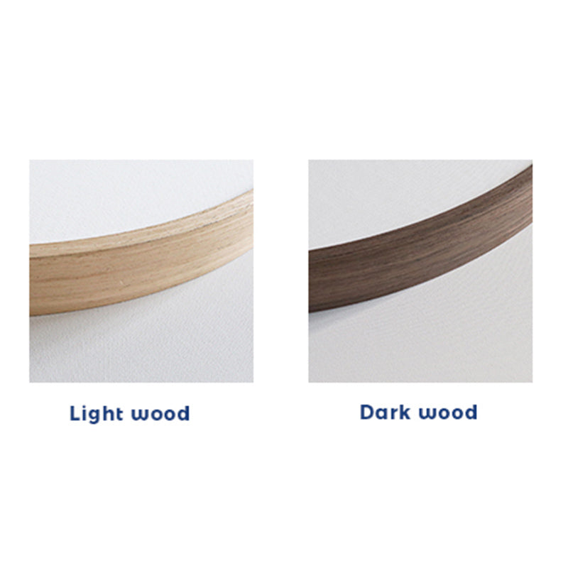 Lighteme Maispflanze Leinwandbild