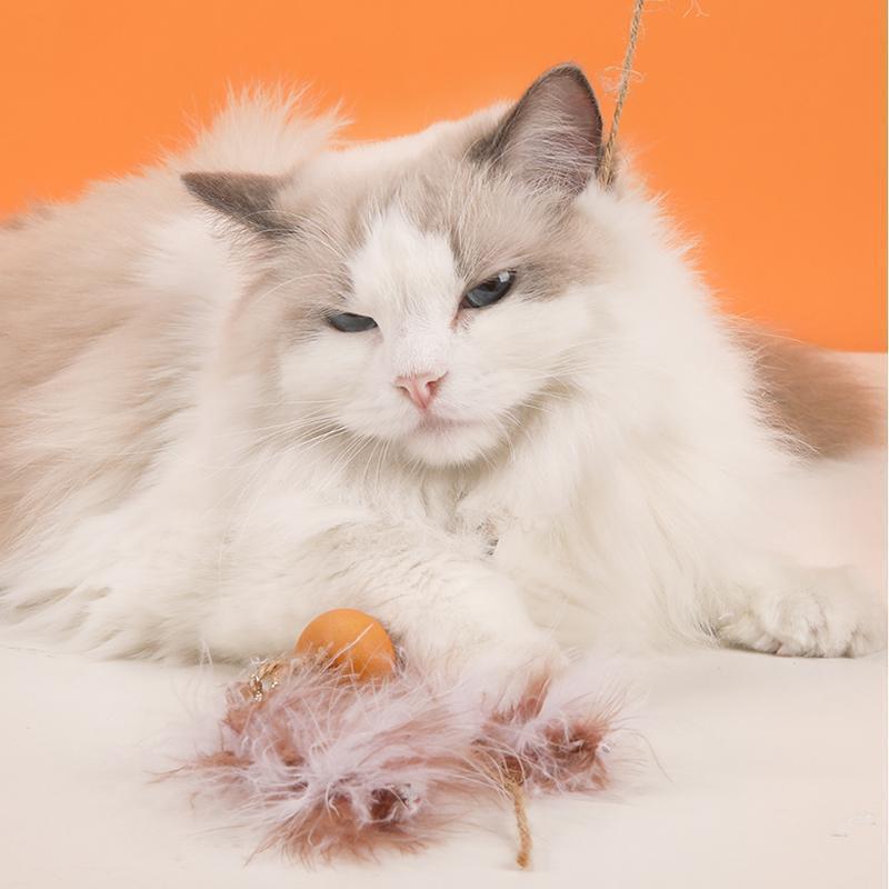 Bâtonnet interactif pour chat Lighteme en bois brut (6 types)