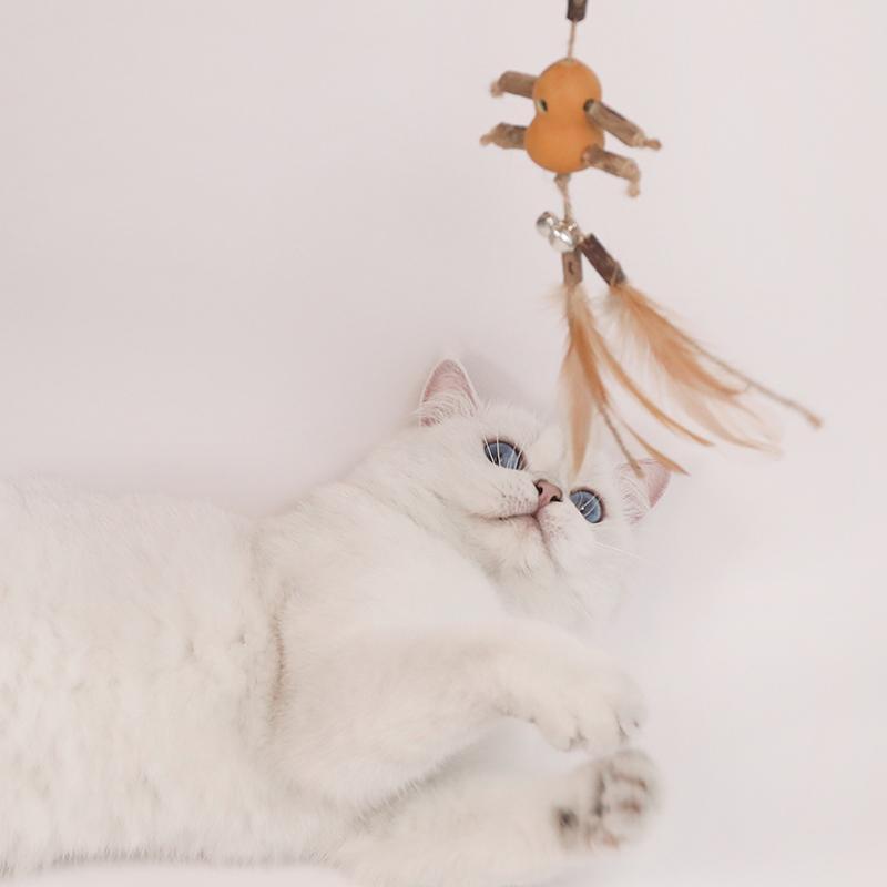 Bâtonnet interactif pour chat Lighteme en bois brut (6 types)