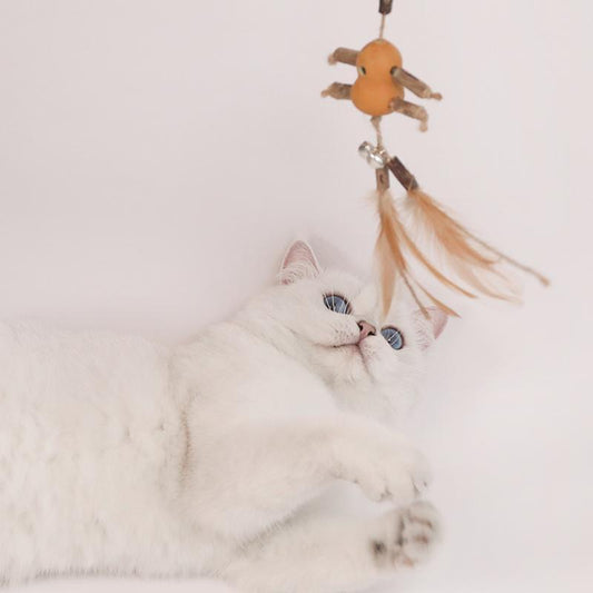 Lighteme Crude Wood Interactive Cat Tease Stick (6 Types)