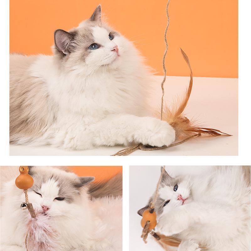 Bâtonnet interactif pour chat Lighteme en bois brut (6 types)