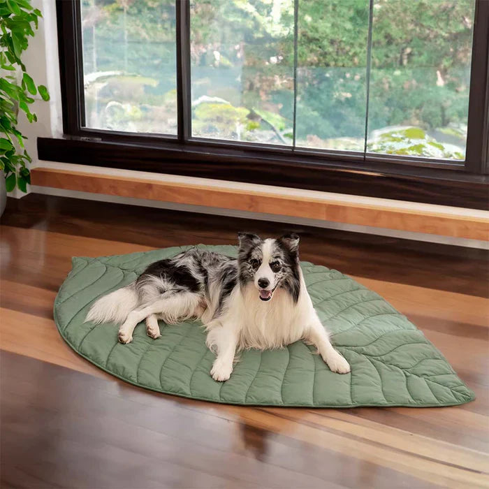 Couverture pour animaux de compagnie Lighteme inspirée de la nature – Élégante et confortable