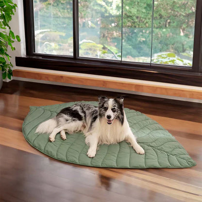 Couverture pour animaux de compagnie Lighteme inspirée de la nature – Élégante et confortable