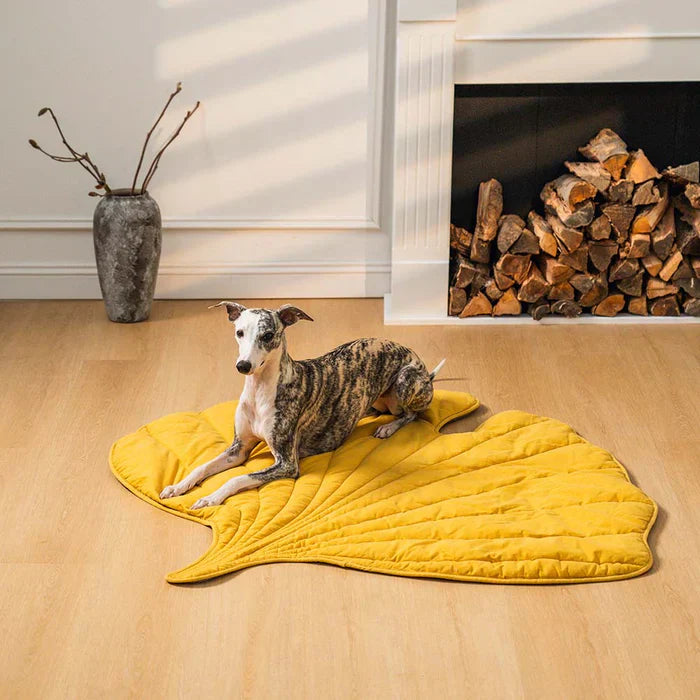 Couverture pour animaux de compagnie Lighteme inspirée de la nature – Élégante et confortable