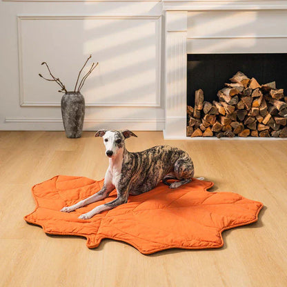 Couverture pour animaux de compagnie Lighteme inspirée de la nature – Élégante et confortable