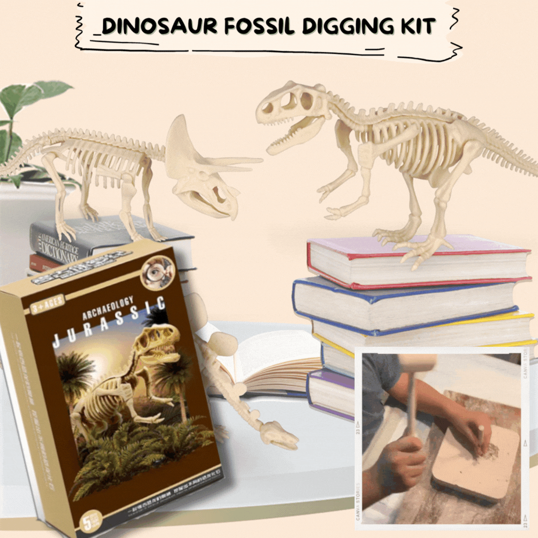 Lighteme Dinosaurier-Fossilien-Ausgrabungsset für Kinder – Komplettset