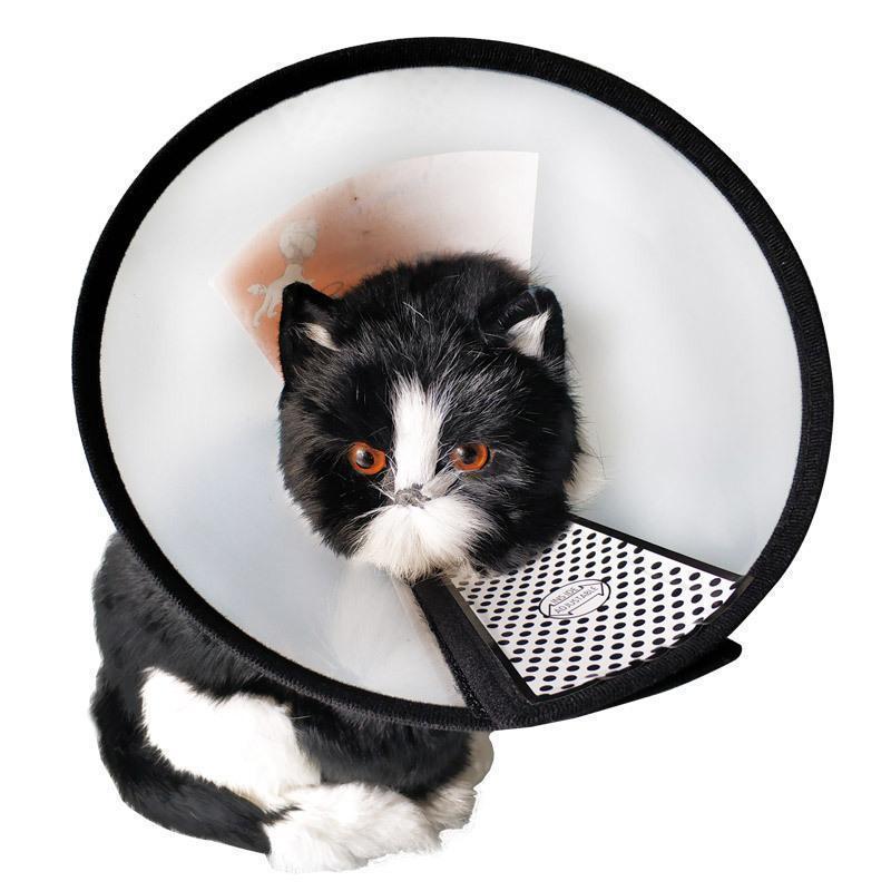 Lighteme Dog Cat Protection Medical Elizabeth Collar (7 Types)
