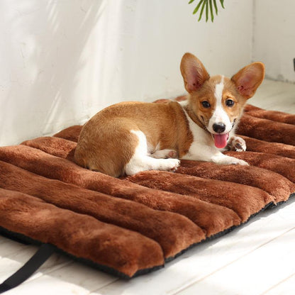 Couverture d'hiver portable Lighteme pour chiens et chats