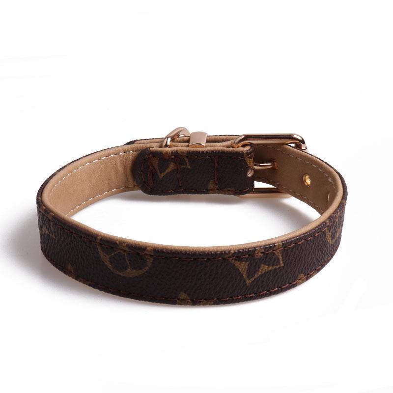 Lighteme Hundehalsband, modisch, verstellbarer Halsriemen (3 Farben &amp; 5 Größen)