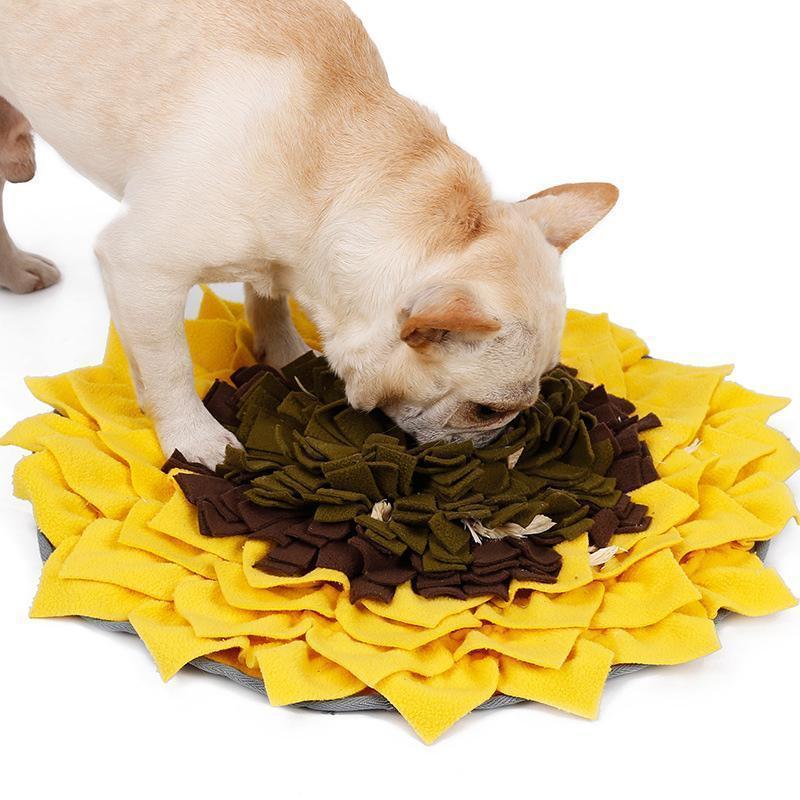 Tapis d'apprentissage Lighteme pour chiens, motif tournesol