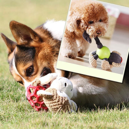 Lighteme Dog Grind Teeth Rubber Corduroy Toy (4 Types)