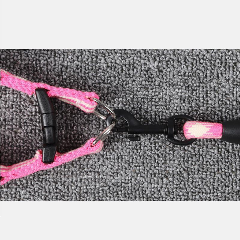 Laisse pour chien Lighteme avec poignée en mousse