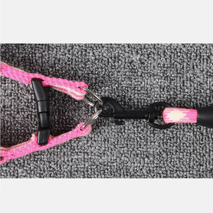 Laisse pour chien Lighteme avec poignée en mousse