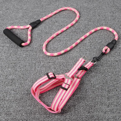 Laisse pour chien Lighteme avec poignée en mousse