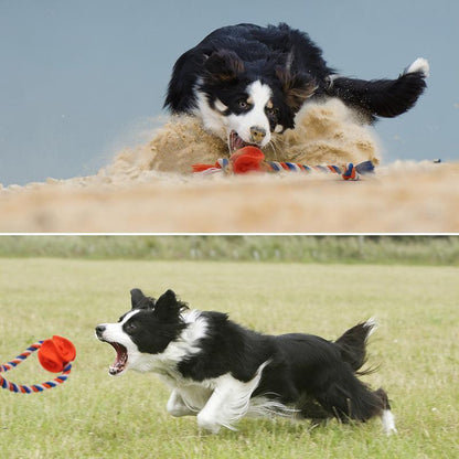 Lighteme Hundekauspielzeug aus Gummiseil (2 Farben &amp; 2 Größen)