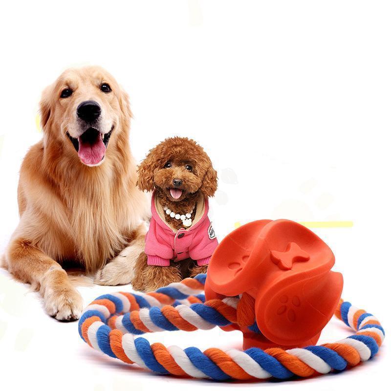 Lighteme Hundekauspielzeug aus Gummiseil (2 Farben &amp; 2 Größen)