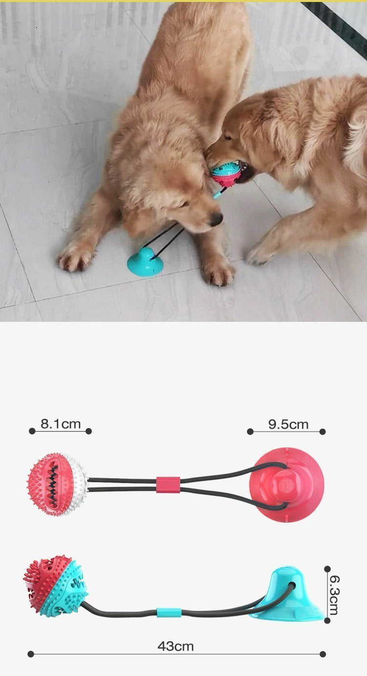 Lighteme Hundespielzeug mit Saugnapf, Kauball (5 Farben)
