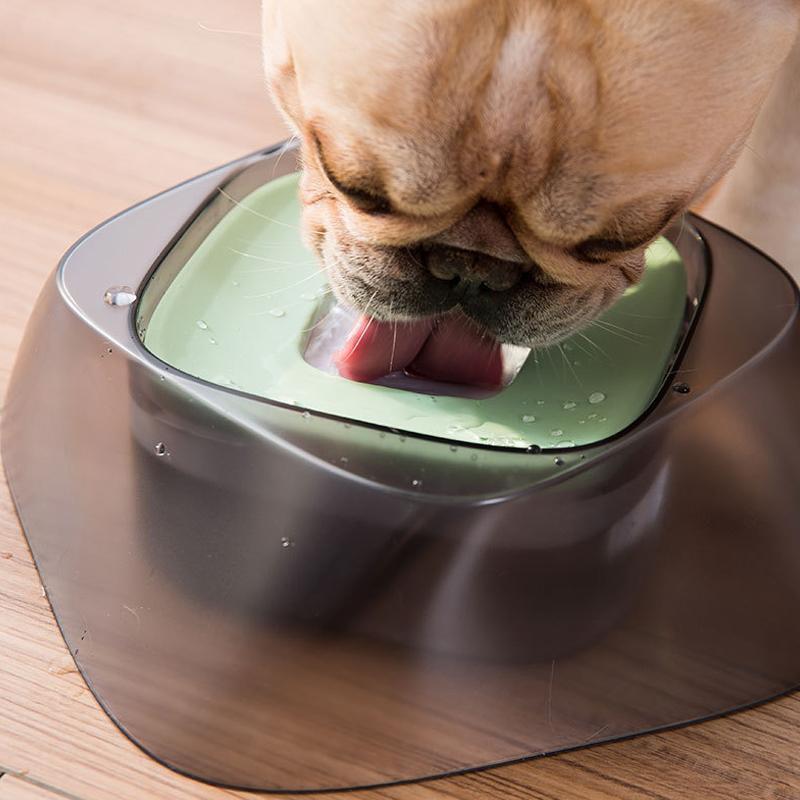 Lighteme Hunde-Futter- und Wassernapf – Spritzschutz (3 Farben)
