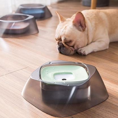 Lighteme Hunde-Futter- und Wassernapf – Spritzschutz (3 Farben)