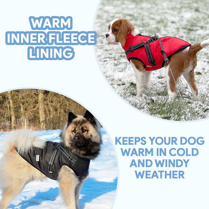 Manteau polaire imperméable Lighteme pour chien, idéal pour la protection contre le froid
