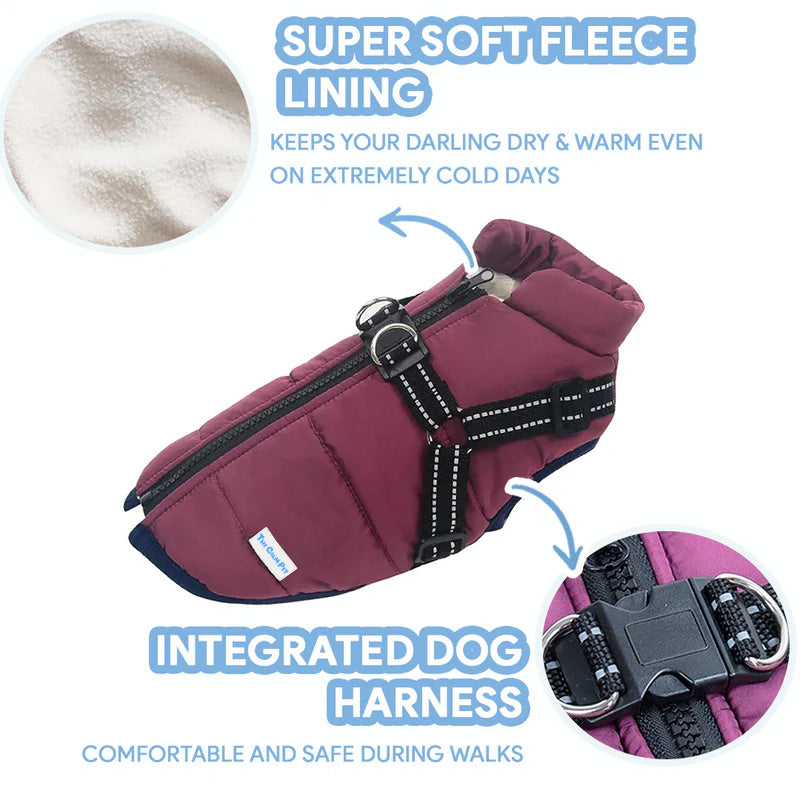 Manteau polaire imperméable Lighteme pour chien, idéal pour la protection contre le froid
