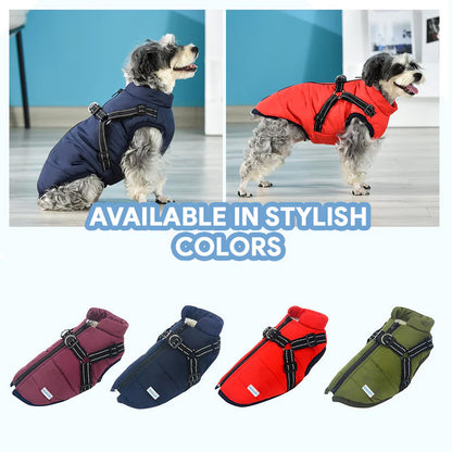 Manteau polaire imperméable Lighteme pour chien, idéal pour la protection contre le froid