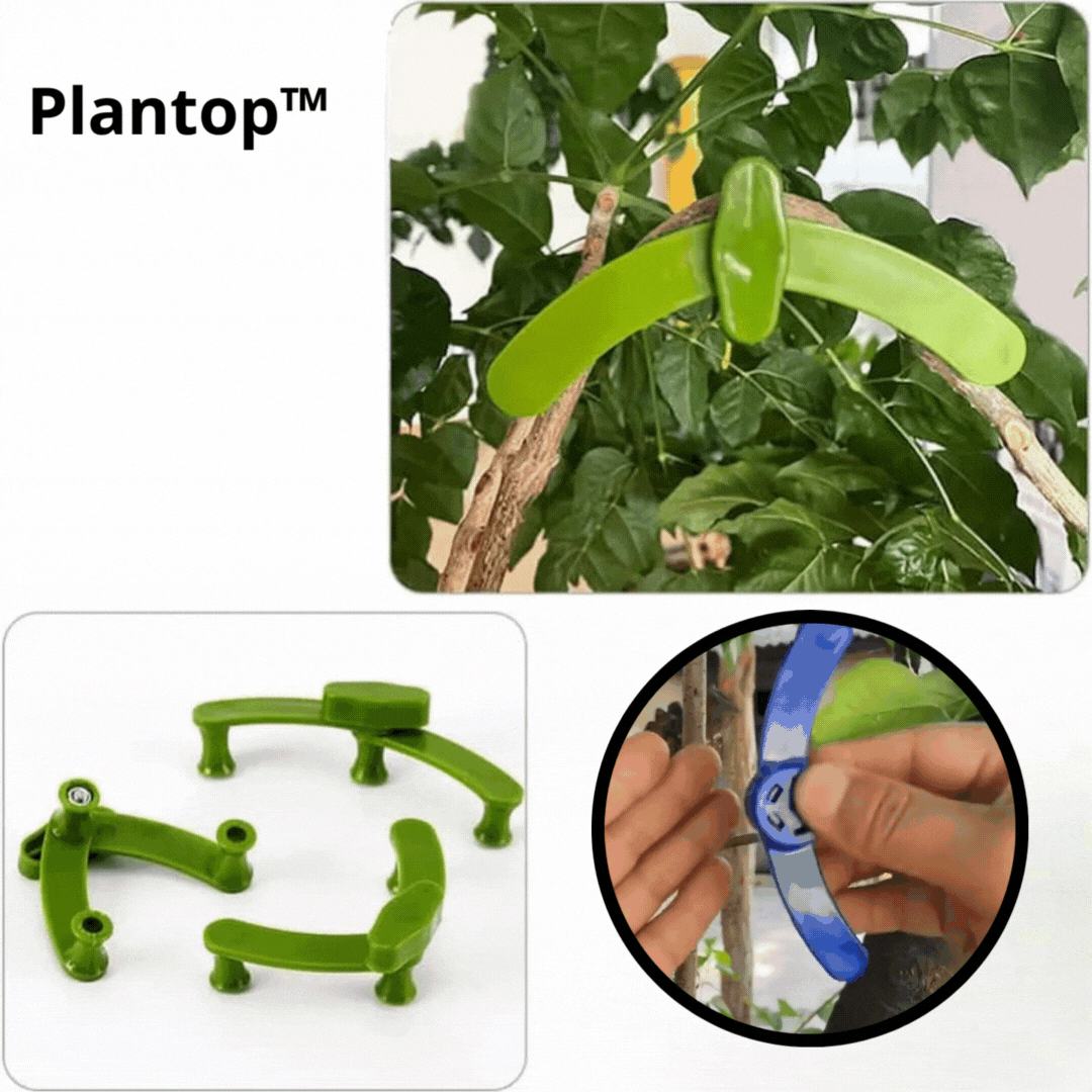Clips de formation de plantes à angle réglable Lighteme - Améliorez la durée de vie de vos plantes !