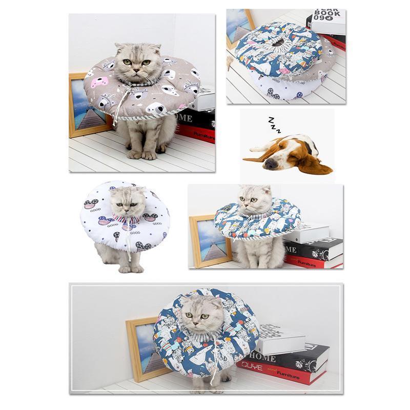 Lighteme Elizabeth Circle Katzen-Antibisshalsband (3 Farben)