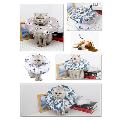 Lighteme Elizabeth Circle Katzen-Antibisshalsband (3 Farben)