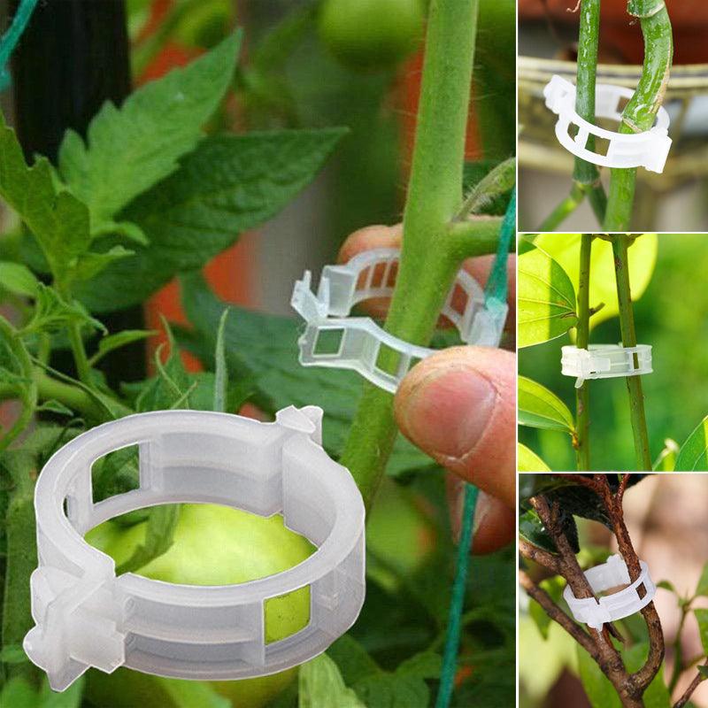 Clips de support pour plantes Lighteme | Lot de 100 pièces