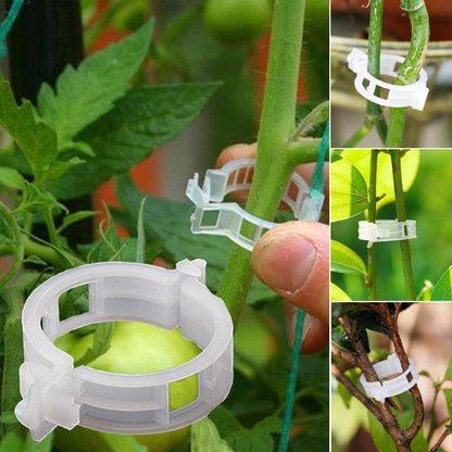 Clips de support pour plantes Lighteme | Lot de 100 pièces