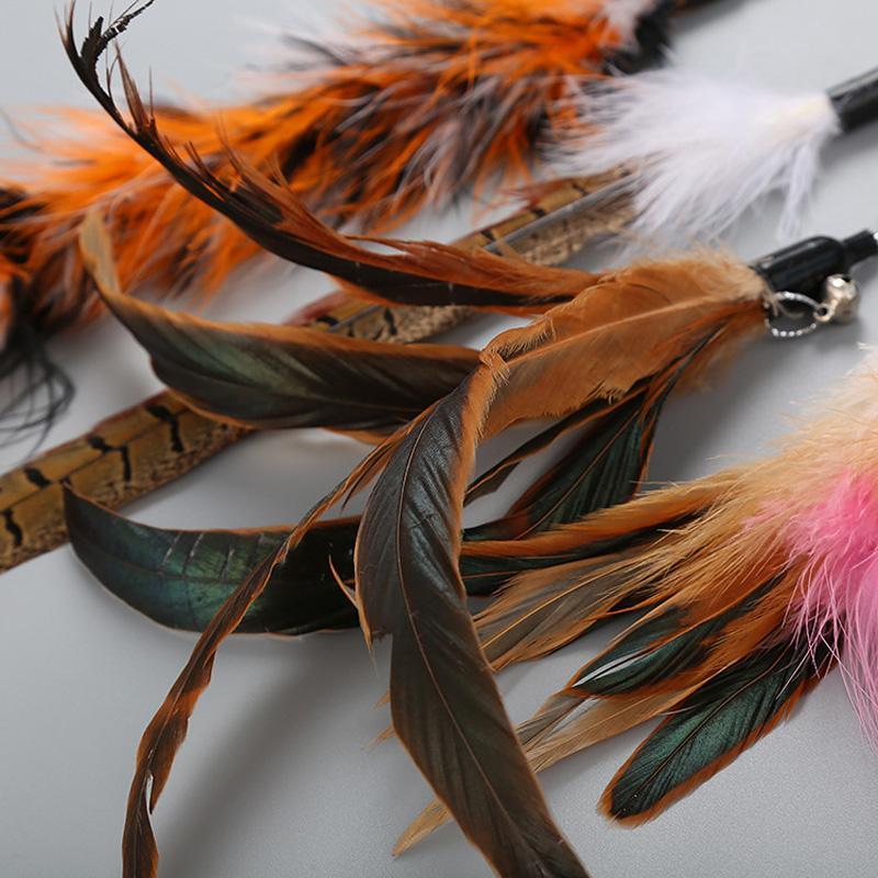 Lighteme Fishing Pole Feathers Cat Teaser Toy Set