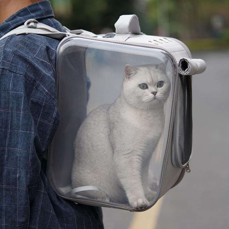 Lighteme Faltbarer Katzenrucksack als Reisetasche (2 Farben)