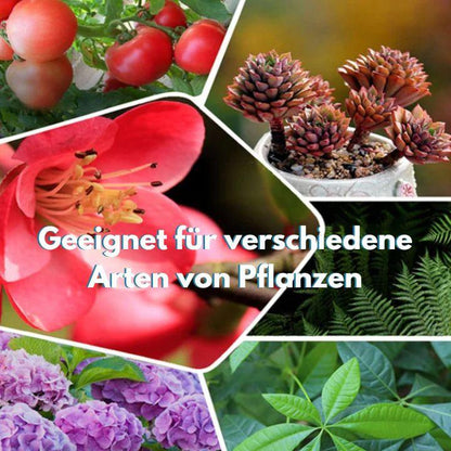 Lighteme Tablettendünger 1+1 Gratis | Erwecken Sie Pflanzen auf umweltfreundliche Weise wieder zum Leben!