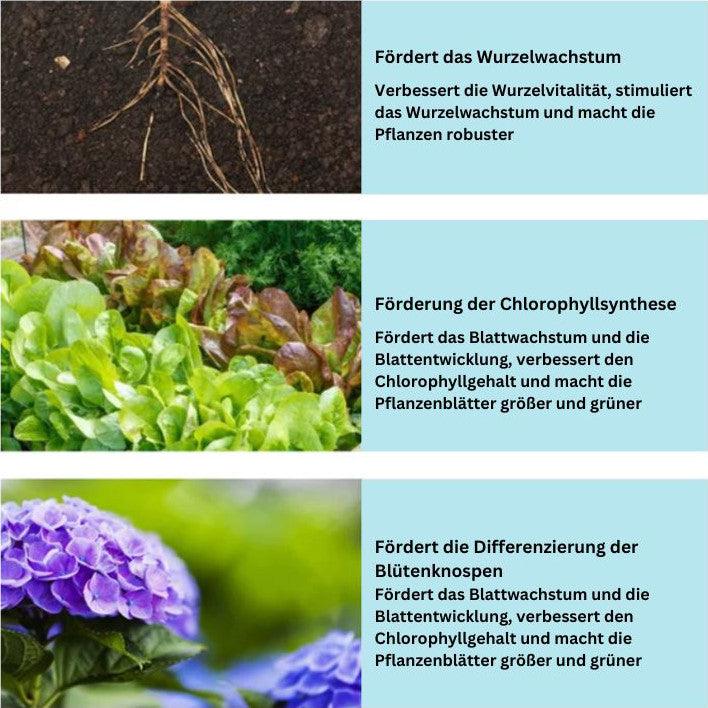 Lighteme Tablettendünger 1+1 Gratis | Erwecken Sie Pflanzen auf umweltfreundliche Weise wieder zum Leben!