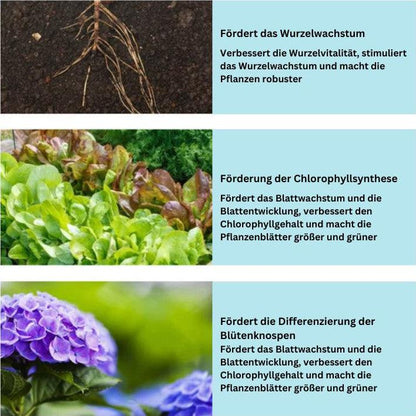 Lighteme Tablettendünger 1+1 Gratis | Erwecken Sie Pflanzen auf umweltfreundliche Weise wieder zum Leben!