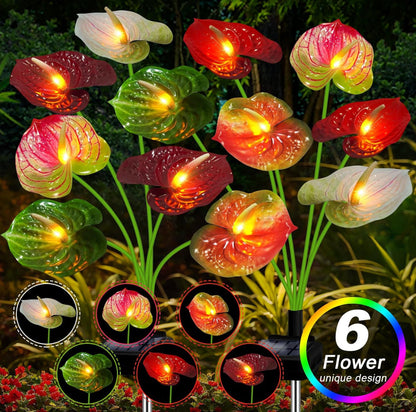 Lot de 2 lampes solaires pour plantes Lighteme - 16 fleurs